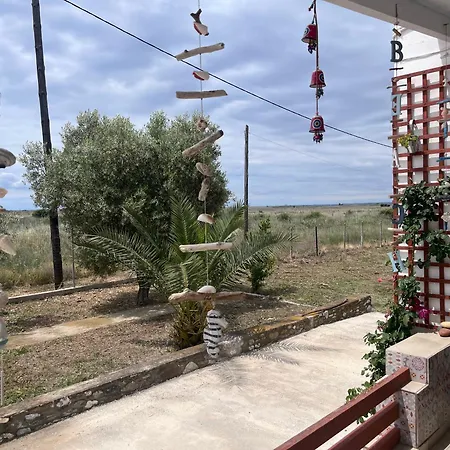 Sea And Garden House