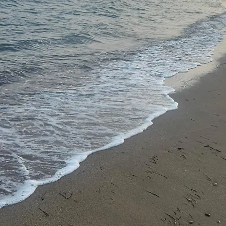 Sea And Garden House *